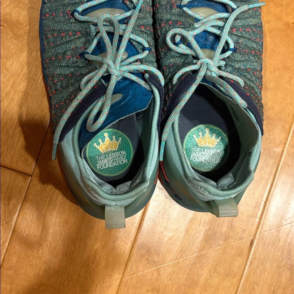 Nike Lebron gently used